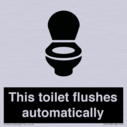this-toilet-flushes-automatically~